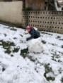 /album/zimne-radovanky2/img-0390-jpg/