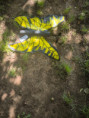 /album/vystava-prac-deti-zs-vo-svete-chrobacikov/img-20250529-102536-jpg/